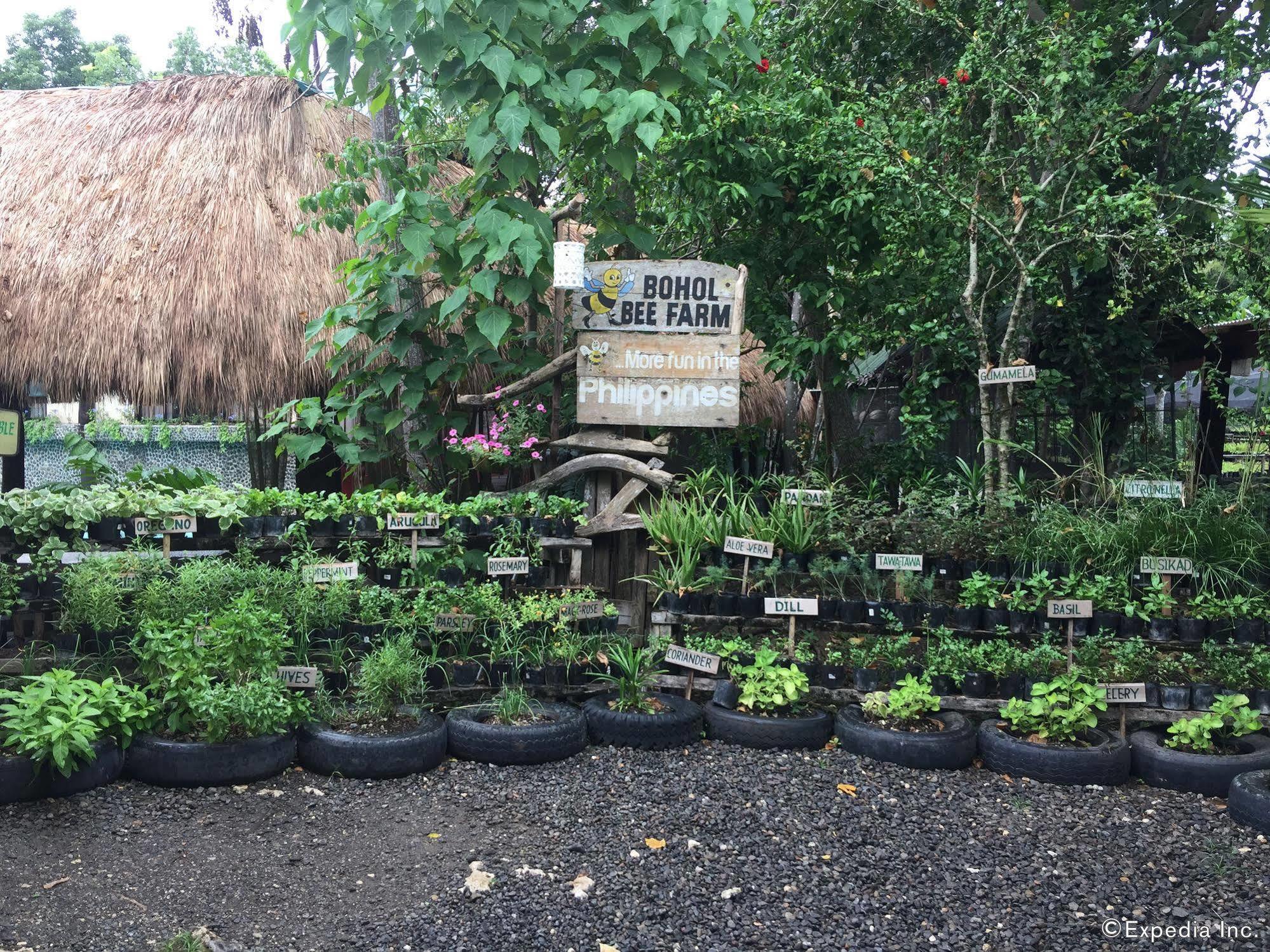 Hotel Bohol Bee Farm Panglao Esterno foto